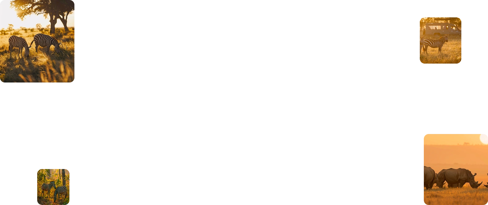 container